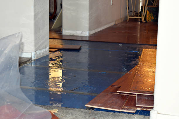 Professional Flood Cleanup technician working in New Bavaria, OH